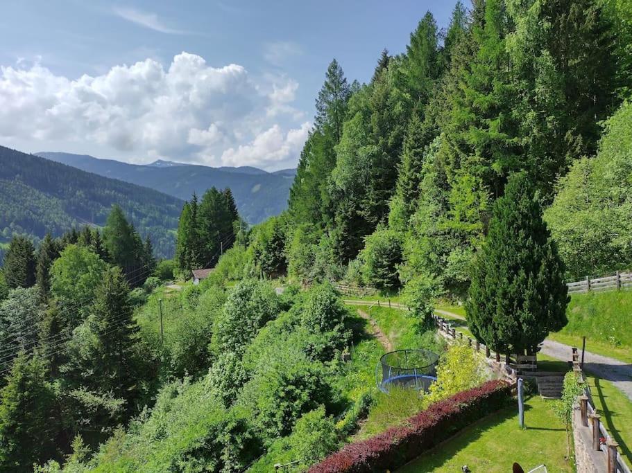 Fw Schnuckel In 300A Altem Bergbauernhaus 1110M Plessnitz Екстериор снимка